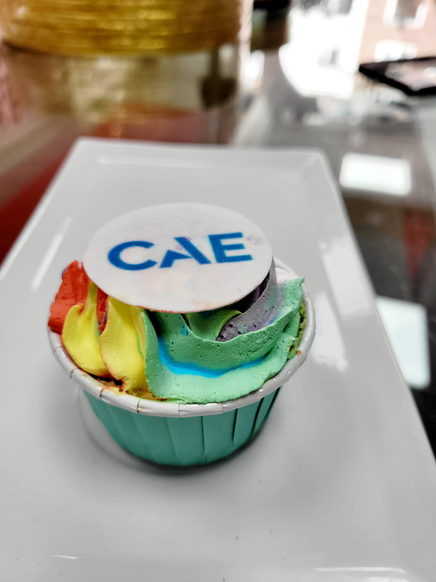 Read more about the article 06.07.23 CAE GmbH – Rainbow Event